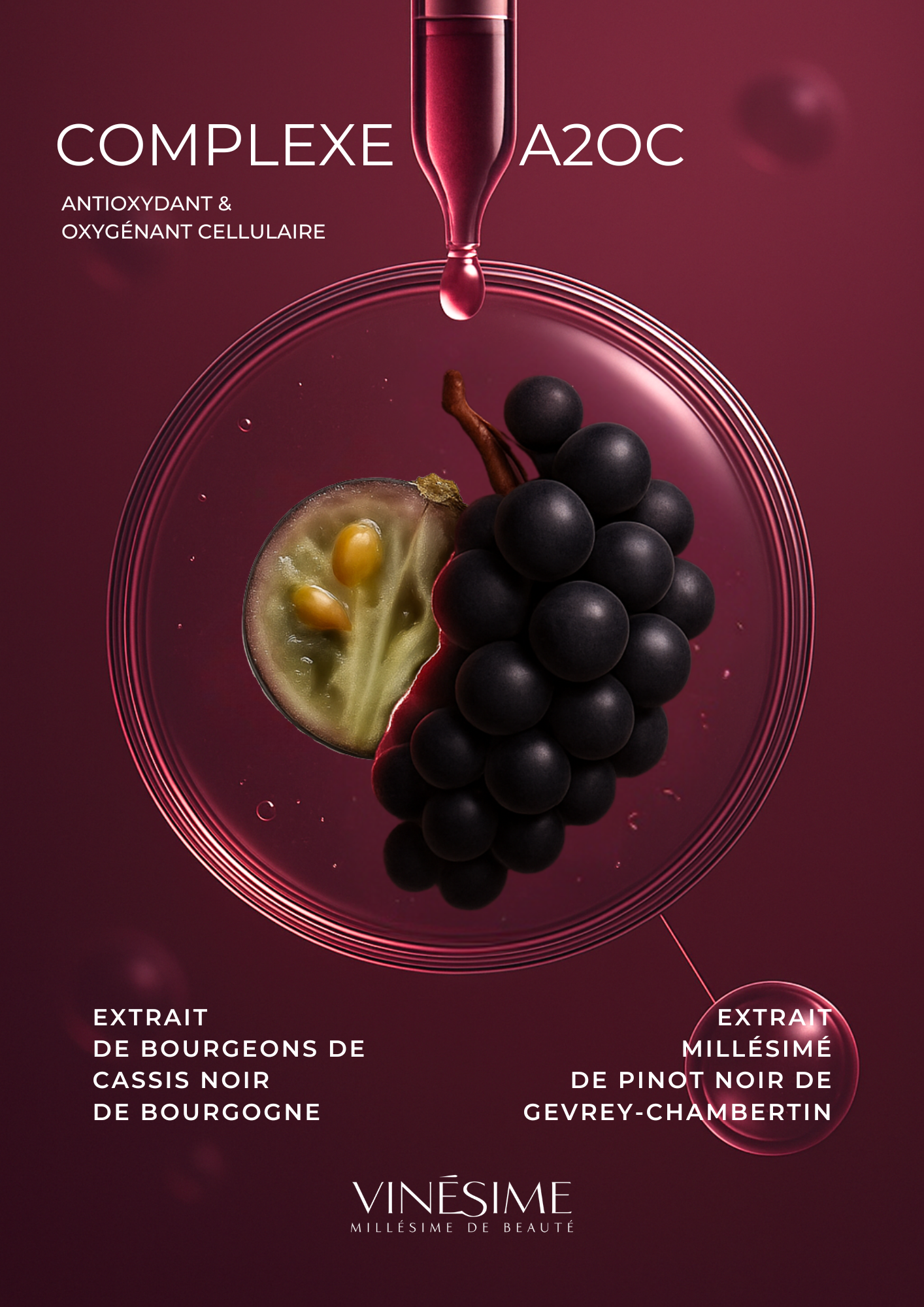 Complexe A2OC