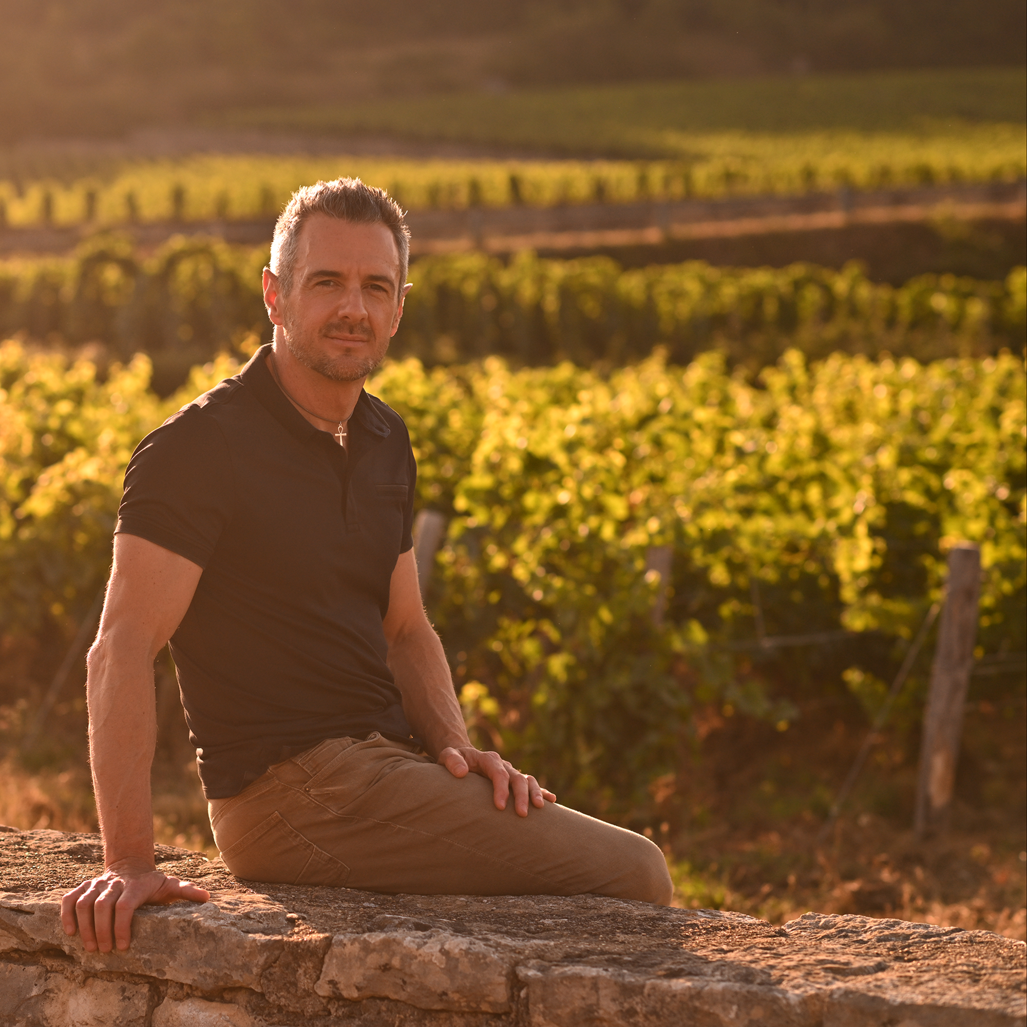 edouard damidot fondateur vinesime dans les vignes bourgogne