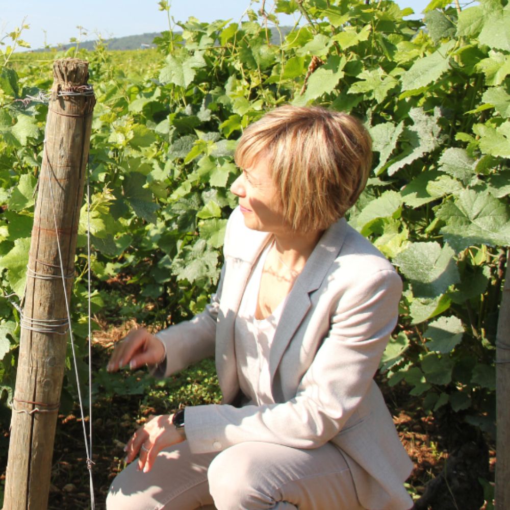 marie damidot fondatrice vinesime dans les vignes de bourgogne