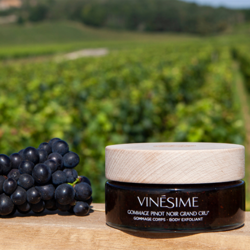 Terre de Provence - Vinésime